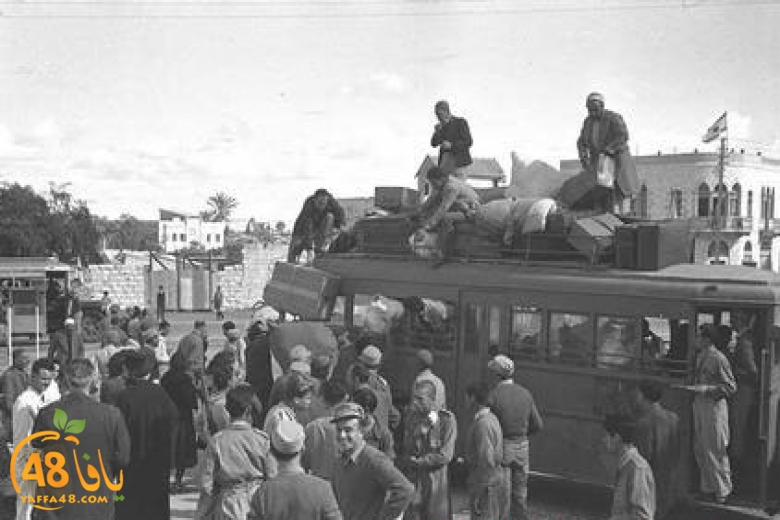 780-520000ramla 14948 (1).jpg